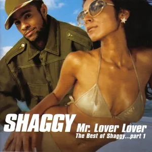Mr. Lover Lover (the best of Shaggy : part 1)